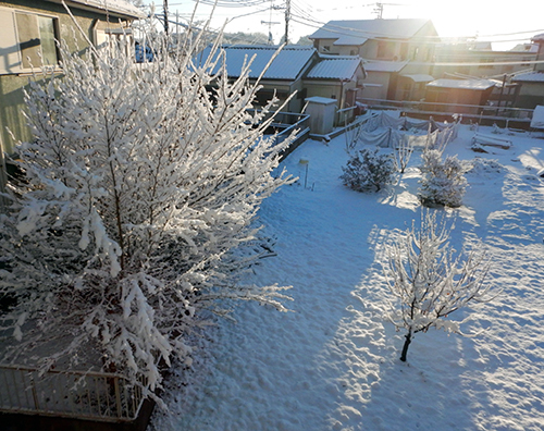 初雪から一夜明けて 初雪から一夜明けて