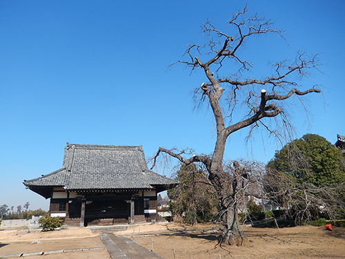 天台宗西林寺 天台宗西林寺