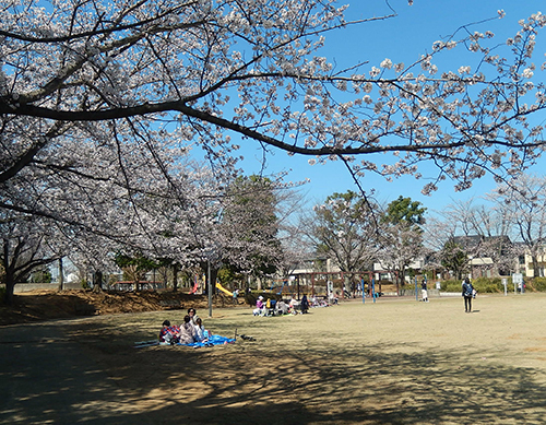 けやき台公園 けやき台公園01