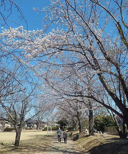 けやき台公園 けやき台公園02