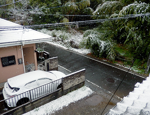 みぞれから雪 みぞれから雪