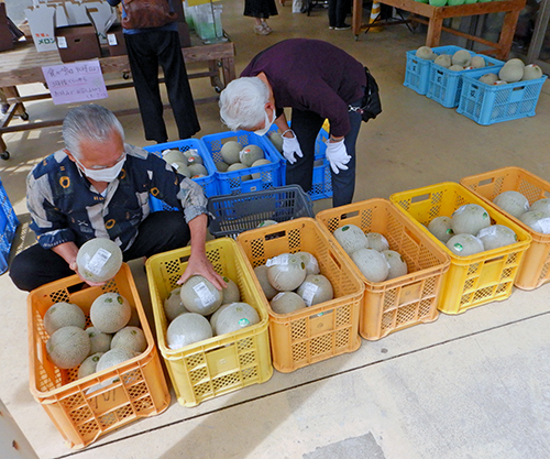 「今が食べごろ」コンテナ 「今が食べごろ」コンテナ01