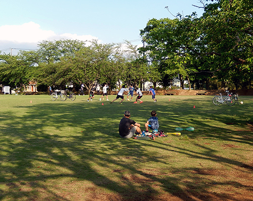 守谷市けやき台公園 守谷市けやき台公園