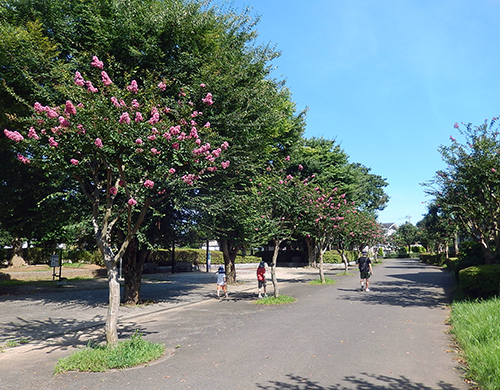 けやき台遊歩道 けやき台遊歩道