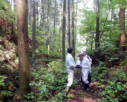 須賀川巻ヶ沢森林02 須賀川巻ヶ沢森林02