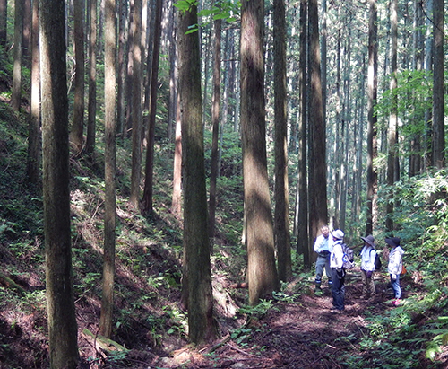 須賀川巻ヶ沢森林03 須賀川巻ヶ沢森林03