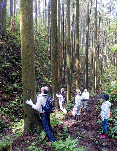 須賀川巻ヶ沢森林05 須賀川巻ヶ沢森林05