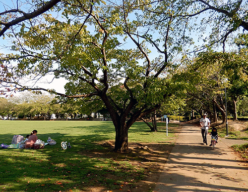 午後のけやき台公園 午後のけやき台公園