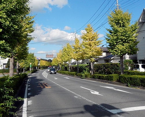 市内県道47号線 市内県道47号線