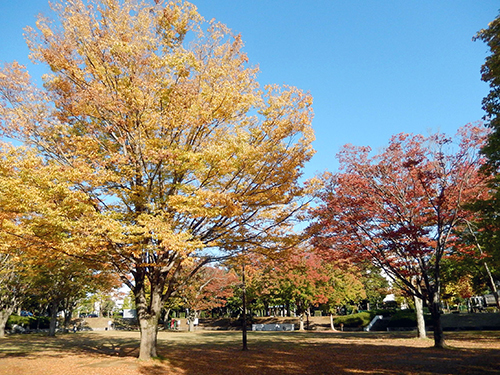 取手市戸頭公園 取手市戸頭公園