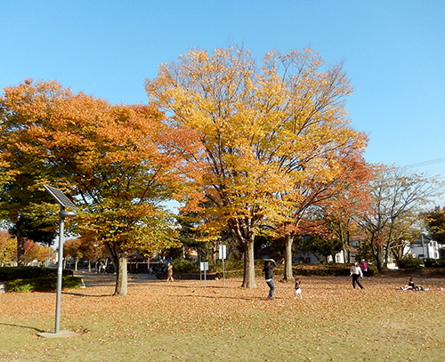 けやき台公園 けやき台公園