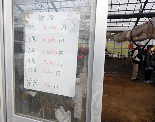 07号3,000円 07号3,000円