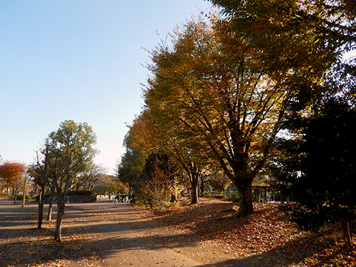 けやき台公園 けやき台公園