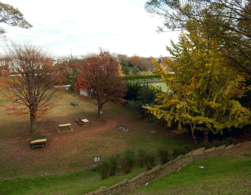 戸頭公園 戸頭公園