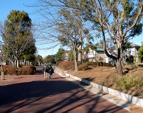 けやき台公園 けやき台公園